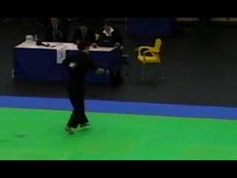 WAKO World Championships 2007 - Marek Svitek