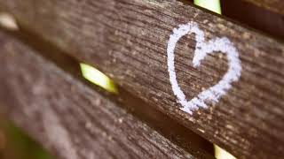 Home Is Where the Heart Is (Megan Murray)