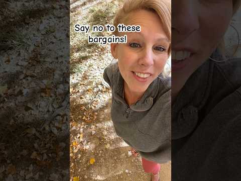 Say No! Absolutely Not! No Way Jose! 🤣🤣🤣 #funnyjokes #hilarious #justsayno