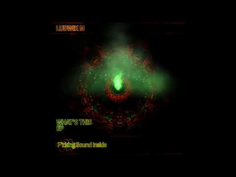 Ludwik M - Go Back [F*cking Sound Inside]