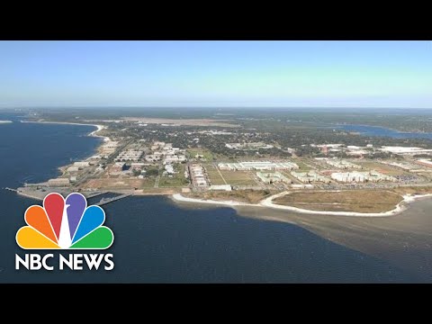 Pensacola Shooting: Police Give Update On Victims, White House Reacts | NBC News