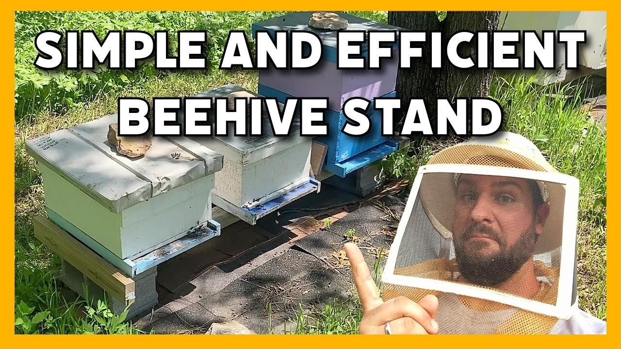 How to Build a Simple & Durable Beehive Stand (Cinder Block + Timber Design)