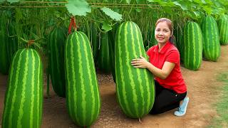 Download lagu Harvesting 1000  Fresh Watermelon Goes To Market Sell, Weeding the Vegetable Garden | Ella New Life mp3 Download lagu Harvesting 1000  Fresh Watermelon Goes To Market Sell, Weeding the Vegetable Garden | Ella New Life mp3