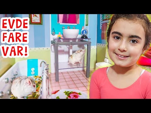Minik Fare Vanilya Barbie Evinde | Mira ile Hamster Videoları | UmiKids