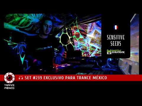 Sensitive Seeds / Set #239 exclusivo para Trance México