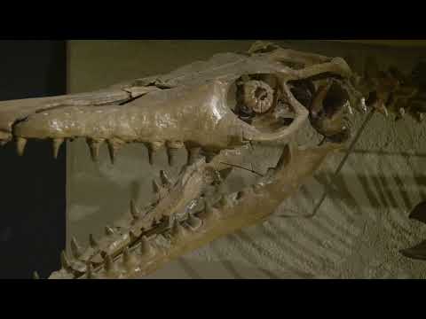 Land van kalk, mergel en krijt