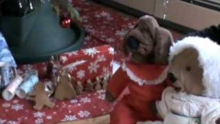 Isn't That What Christmas Is For