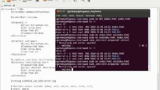 Setting Up Apache 2 Directory Browsing in Ubuntu - Part 1