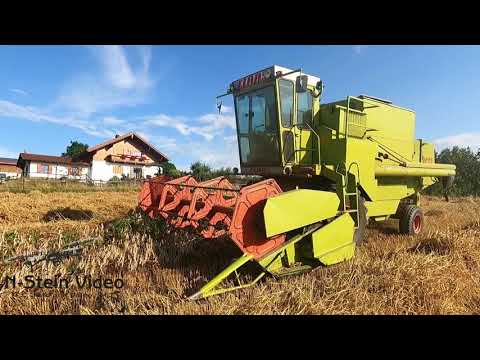 Claas Dominator 85 Oldtimer Mähdrescher weizenernte21 combine harvester Landwirtschaft German farmer
