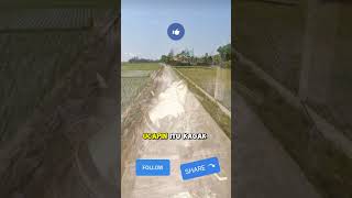 Download lagu Mulutmu Harimaumu #shorts #edukasi #motivasi #quotes #nasehat #mulut mp3