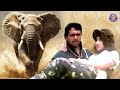 जंगली हाथी के हमले से बचा लिया Govinda Rescues Manis