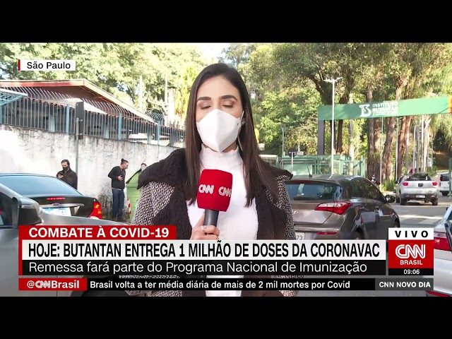 Butantan entrega um milhão de doses da Coronavac ao PNI nesta segunda-feira (14)