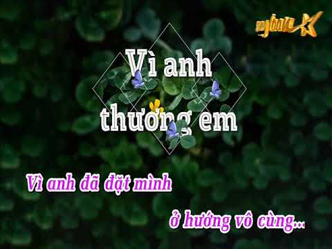 [Karaoke]   Vô Cùng - Phan Duy Anh ( Hạ Tone )  | Beat Full