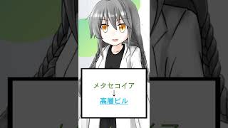 初めて地球に新宿が生まれた瞬間【ショート虚言】 #shorts #vtuber