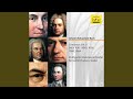 Violin Concerto in E Major, BWV 1042: III. Allegro assai
