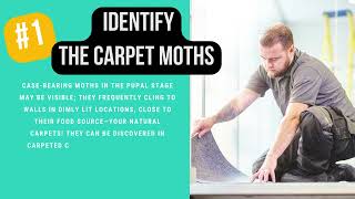 How to Get Rid of Carpet Moths?