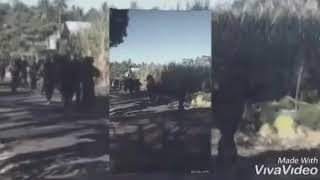 Download lagu DIKMATA 39/1 🇮🇩🇮🇩🇮🇩 mp3