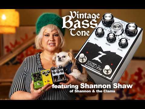 ZEQD-Pre Pedal: The Best Preamp for Vintage Bass? (ft. Shannon Shaw)