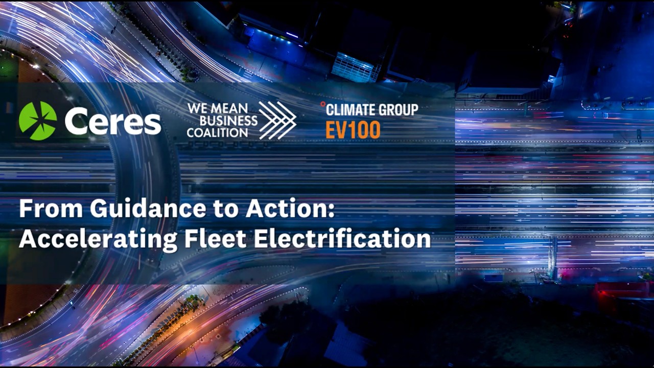 From Guidance to Action: Accelerating Fleet Electrification