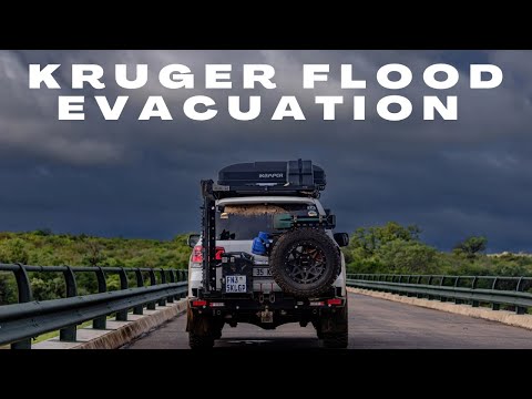 KRUGER 2026 FLOODS  | EVACUATED FROM KRUGER | MOZAMBIQUE AND KRUGER 