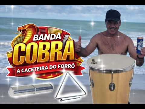 música de abertura banda cobra chegou ,barra de guabiraba -PE 