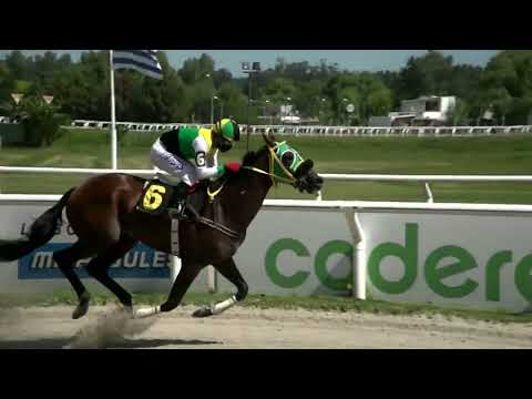 220218 c02 - ROBINSON GLORY - HIPODROMO LAS PIEDRAS