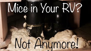How To Get Mice Out Of Your RV
