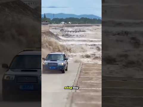 Kickdown – Chức năng ẩn giúp xe tăng tốc bất ngờ!