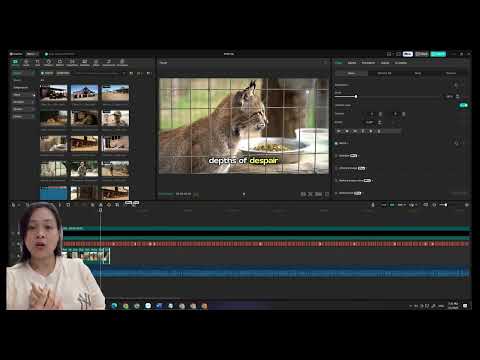 YouTube video