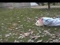 Fail! Salto sobre un auto