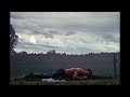 Emerald Fennell and Barry Keoghan unzip Saltburn's erotic cemetery scene