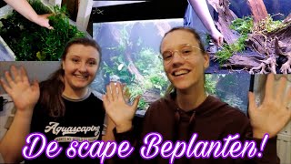 De AQUASCAPE BEPLANTEN! //Nickey//