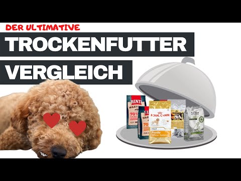 Der ultimative Trockenfutter Vergleich - Fazit nach 1 Jahr: Platinum, Rinti, Wolfsblut & Royal Canin