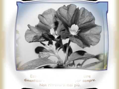 Chiara e Foco   Erano i tempi di guerra