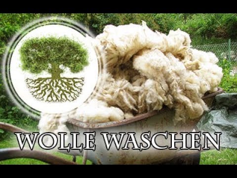 , title : 'Wolle waschen, Wollwäsche mit Rohwolle vom Schaf - Spinnereien mit Wolle'