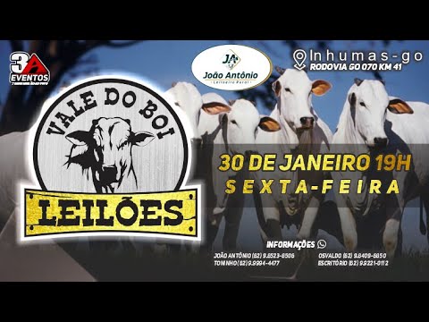 VALE DO BOI LEILOES - INHUMAS GO  - LEILAO VIRTUAL E PRESENCIAL -  30 JANEIRO 2026