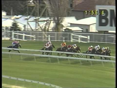 1996 AJC Derby - Octagonal