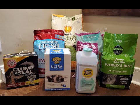 I Tested the Top Brands of Affordable Cat Litter - Here Are Our Top 7 Picks