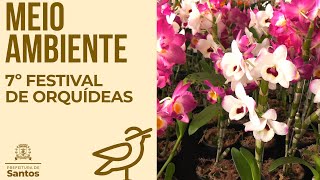 Meio Ambiente - 7º Festival de Orquídeas