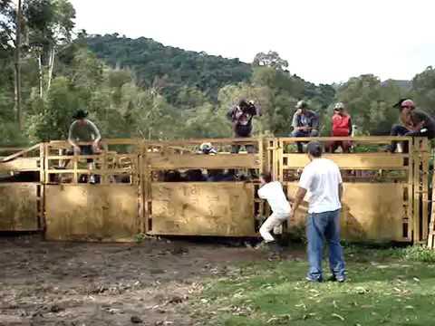 Cia de rodeio magia brasil