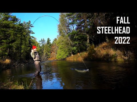 Chrome Bobber Downs - Float Fishing for Fresh Fall Steelhead