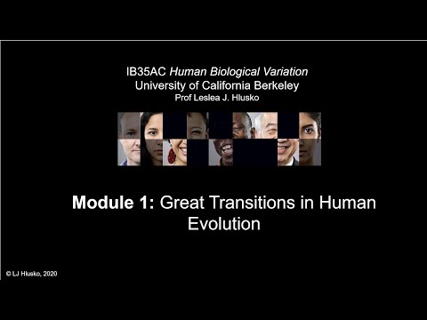 1.3 Great Transitions in Human Evolution
