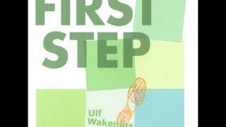 Ulf Wakenius Group - Blame It On My Youth