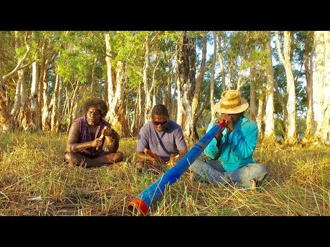 Argarg (Diving Duck) - Nunggarrgalu Songs