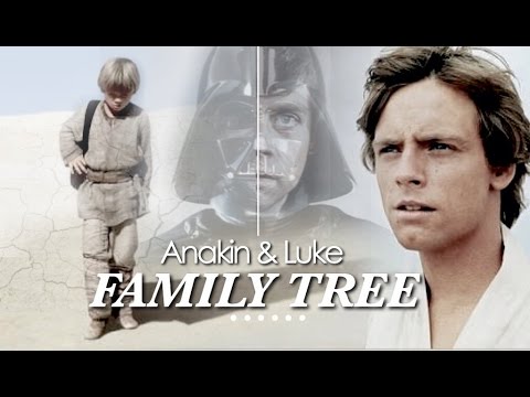 Anakin & Luke // Legacy