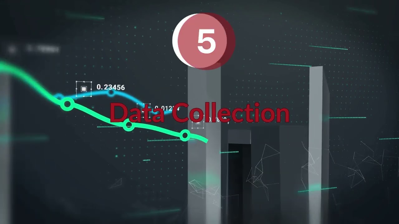 Veridata Insights - How Our Process Works