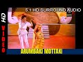 Arumbagi Mottagi Ramarajan Gauthami EngaOoruKavalkaran 5 1SURROUND SOUND