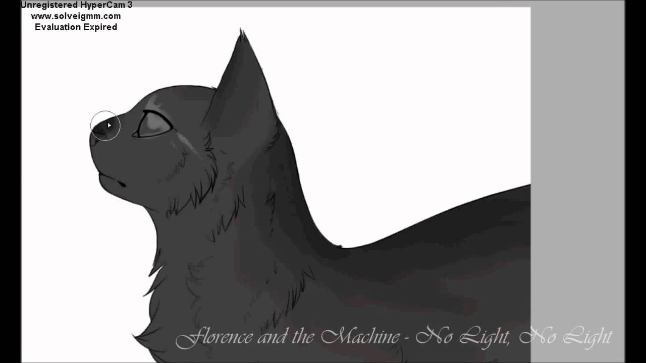 No Light - Cinderpelt Speedpaint