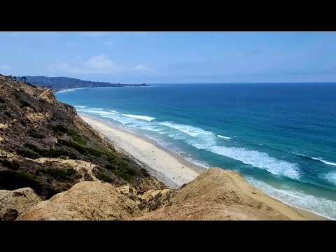 Stay With Me San Diego Coast - LeXxiv