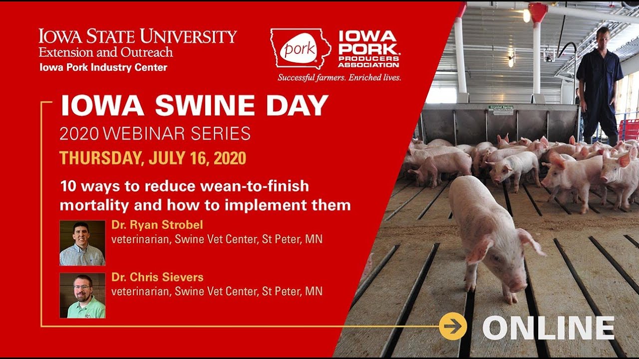 Iowa Swine Day 2020 Week 4 – 10 ways to reduce wean-to-finish mortality and how to implement them